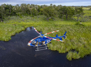 Botswana's Luxury Safari Odyssey