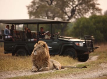 Exceptional Victoria Falls, Botswana & Mozambique