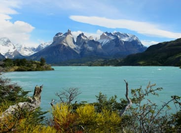 Chile Uncovered