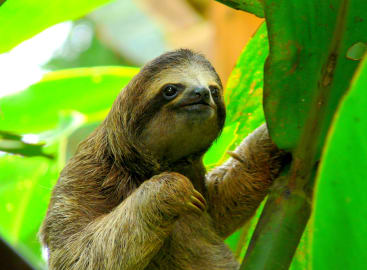 Costa Rica with Kids