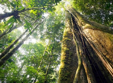 Ecuador Uncovered