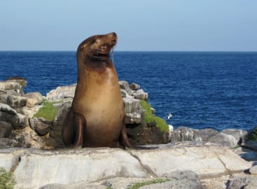 Galapagos Island Hopping