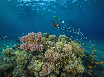 A Family Egyptian Adventure: From Pyramids to Reefs