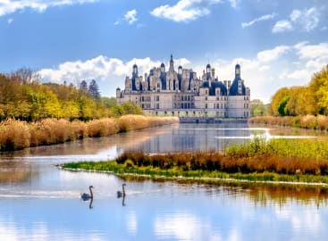 Focus: Castles & Grand Cru Wines