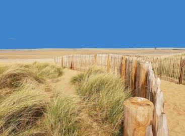 Paris & WWII Normandy