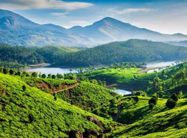 Timeless Charms of Tamil Nadu & Kerala