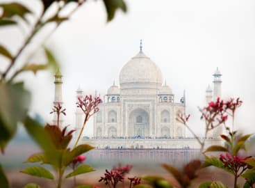 The Golden Triangle, Tigers and The Maldives