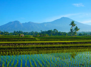 Epic Bali and Lombok