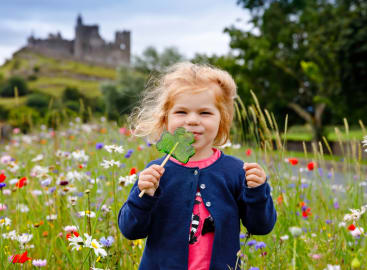 Family Fun in Ireland