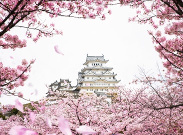 A Short Getaway to Kansai