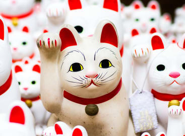 Family Fun in Japan