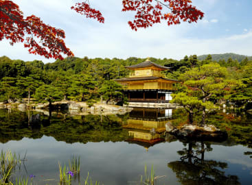Japan with Kids