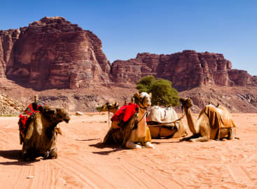 Family Fun in Jordan