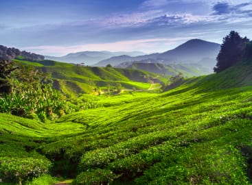 Peninsula Malaysia Past and Present