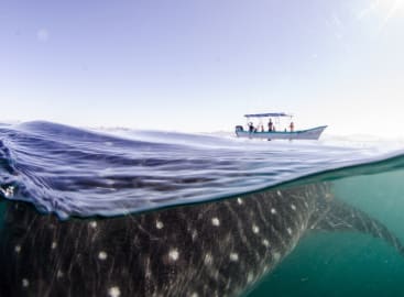 Epic Baja California
