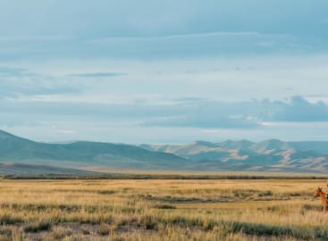 Ultimate China & Mongolia