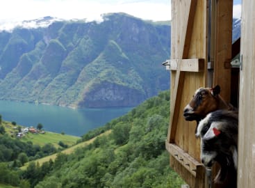 Family Fun in Norway