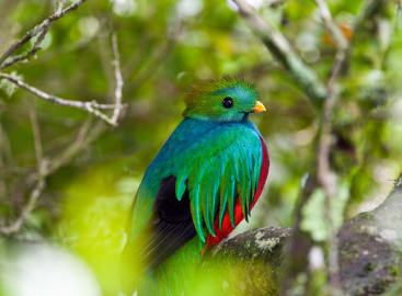 Ultimate Panama & Costa Rica