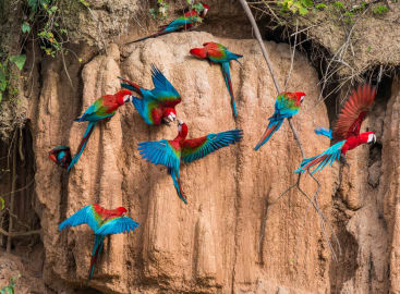 Family Fun in Peru