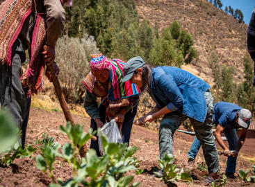 The Flavour Trail: Peru