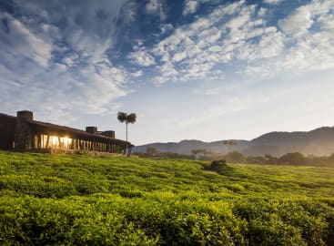 Highlights of Rwanda