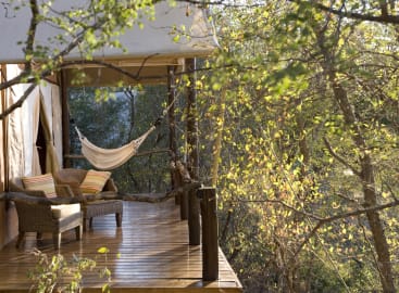 Extraordinary South Africa