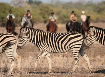 Family Fun in South Africa
