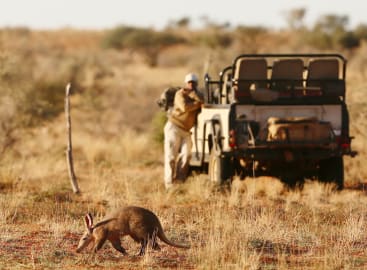 Ultimate South Africa