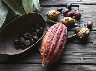 Caribbean Culinary Odyssey: St. Lucia & Grenada