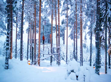 Epic Swedish Lapland