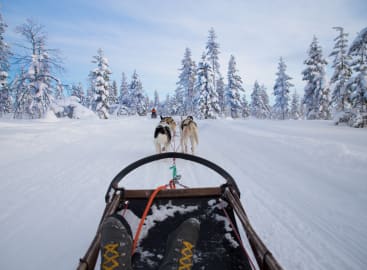 Family Fun in Sweden