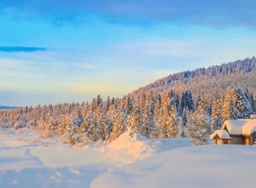 Ultimate Swedish Lapland