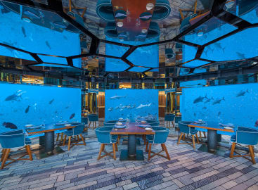 Dubai to Maldives: A Luxurious Escape
