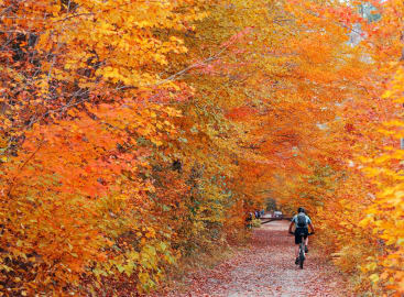 Grand New England Escape: Style, Nature, and Heritage