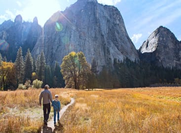 Ultimate Family Fun in California