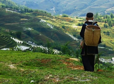 Natural Wonders of Vietnam: From Halong Bay to the Mekong Delta