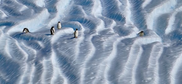 Extraordinary Antarctica: Cross the Polar Circle