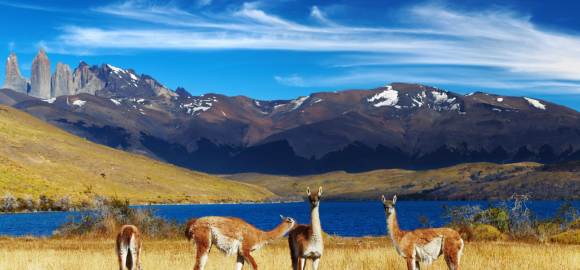 Epic Highlights of Patagonia