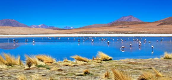 Ultimate Altiplanic Chile, Bolivia & Peru