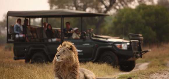 Exceptional Victoria Falls, Botswana & Mozambique