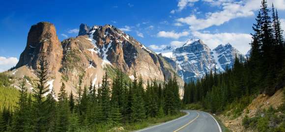 Bears, Ranch & Rockies - Canada Uncovered