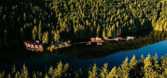 Ultimate Canada - Orcas, Dolphins & Bears