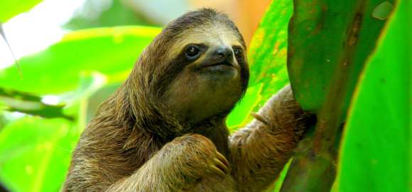 Costa Rica with Kids