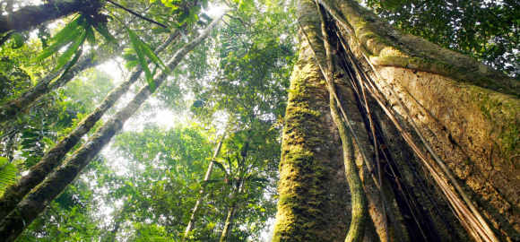 Ecuador Uncovered