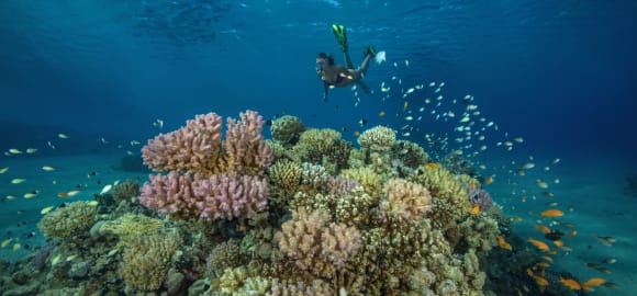 A Family Egyptian Adventure: From Pyramids to Reefs