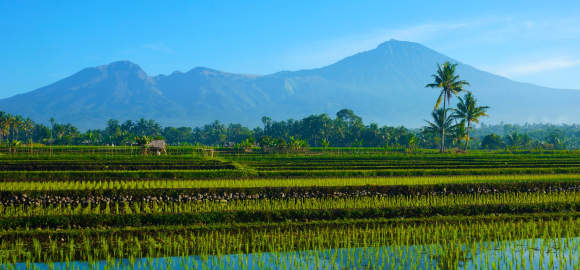 Epic Bali and Lombok