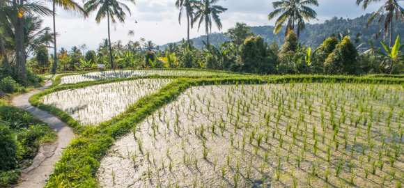Ultimate Indonesia