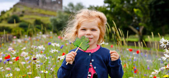 Family Fun in Ireland
