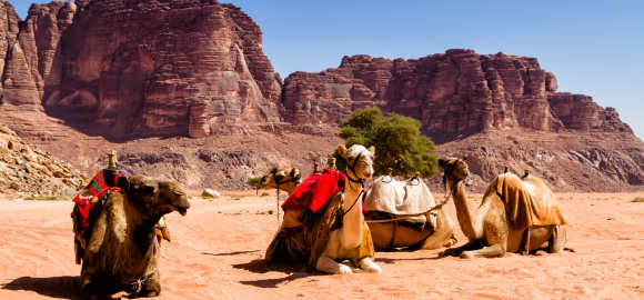 Family Fun in Jordan