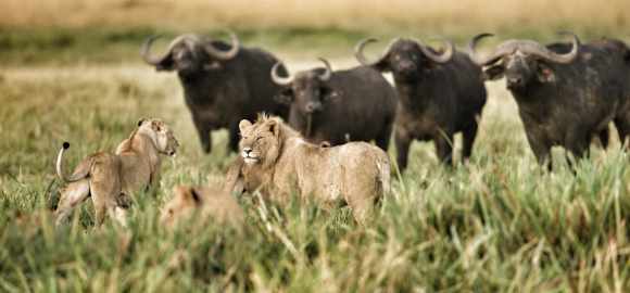 Family Fun in Kenya